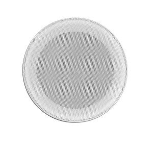 5" 2-Way Outdoor Ceiling Speaker