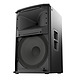 12" Two Way Powered Loudspeaker