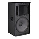 15" Two Way Full Range Loudspeaker