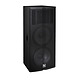 Dual 15" Two Way Full Range Loudspeaker