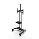 Mobile TV Mount with Adjustable Shelf