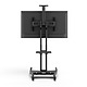 Mobile TV Mount with Adjustable Shelf