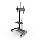 Mobile TV Mount with Adjustable Shelf