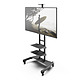 Mobile TV Mount with Two Adjustable Shelves