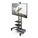 Mobile TV Mount with Two Adjustable Shelves