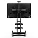 Mobile TV Mount with Two Adjustable Shelves