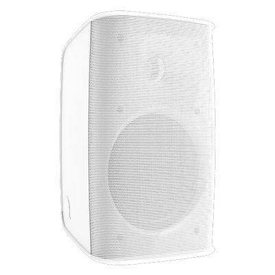 8” Wall Mount Speaker - 100 Watt