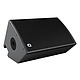 12" Loudspeaker Monitor - Left