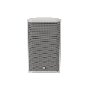 12" WALL MOUNT SPEAKER - 300 WATT