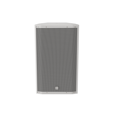 12" WALL MOUNT SPEAKER - 300 WATT